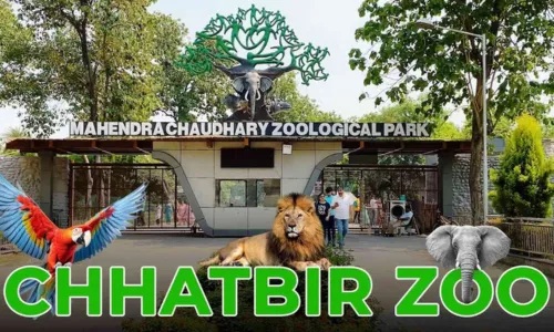 Mahendra Chaudhary Zoological Park  Chhat Bir Zoo